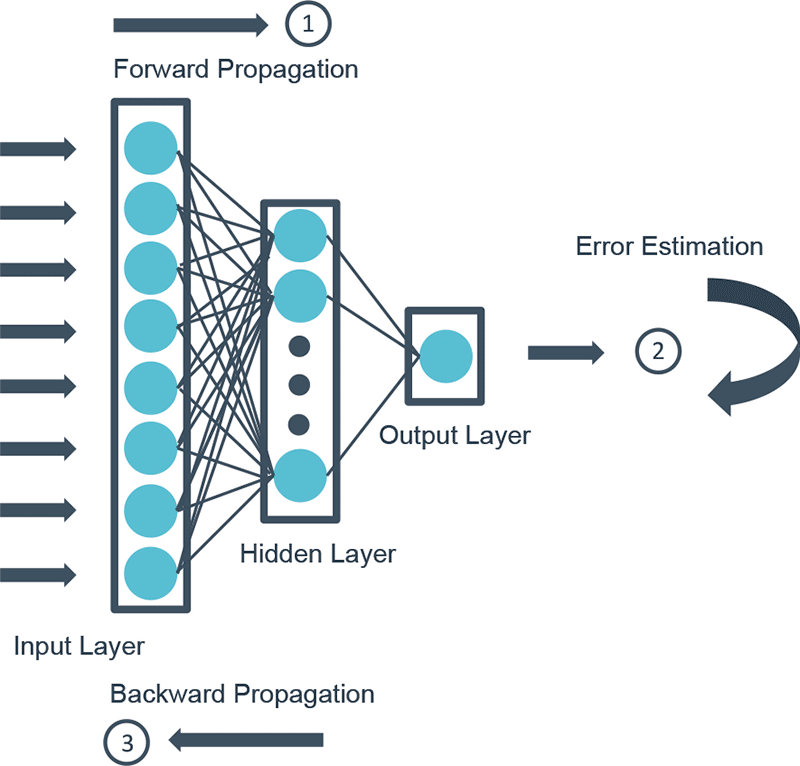 Forward backward propagation