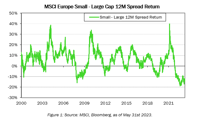MSCI Europe Smal-Large Cap