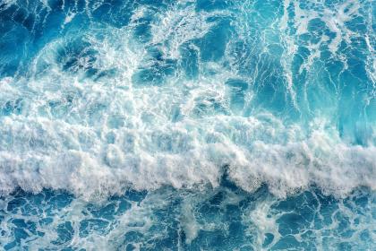 Strong Sea Strong Sea