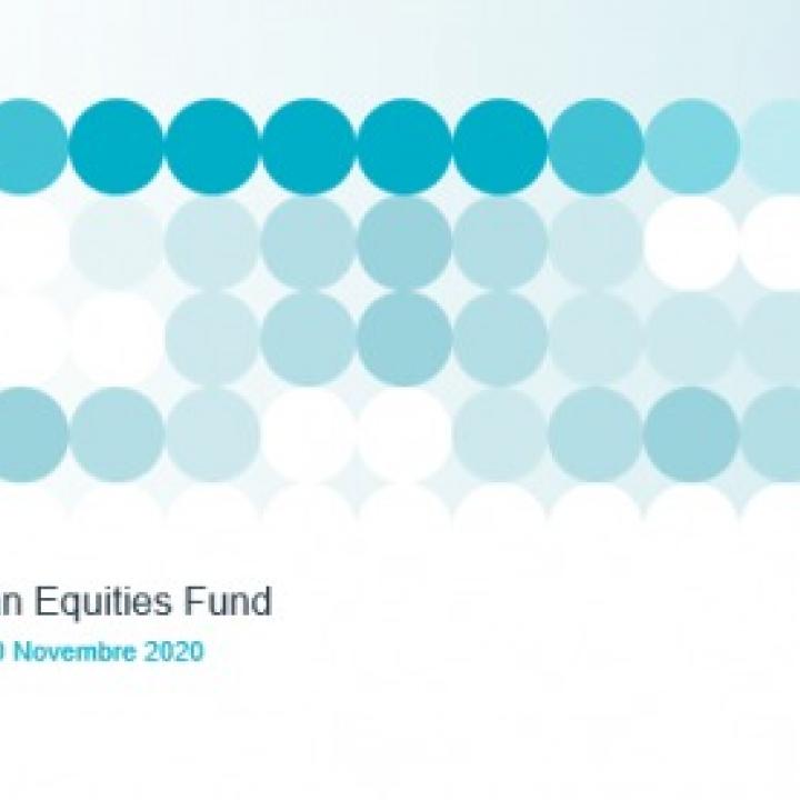 RAM European Equities - Aggiornamento al 20 Novembre 2020