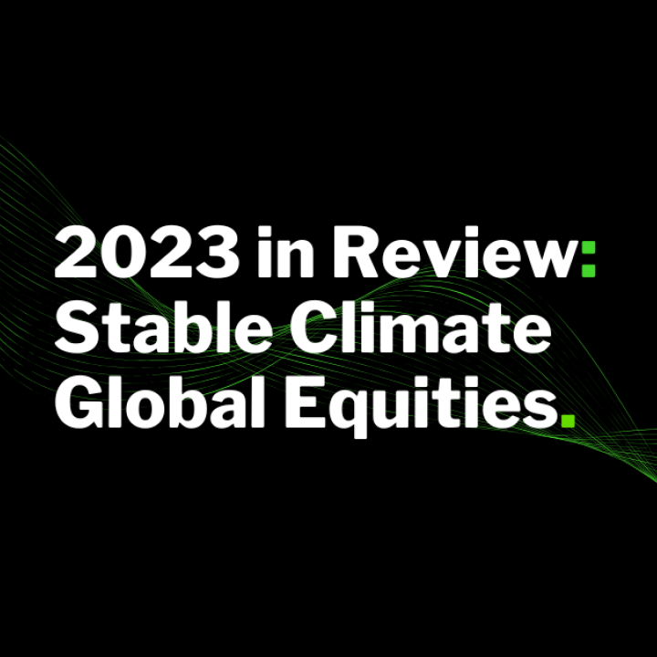 2023 in Review: Diversification Pays Off Amid Challenges in Sustainable Investing